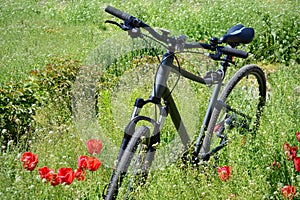 Outdoor bike recreation. Bicycle surrounded by green grass and flowers photo