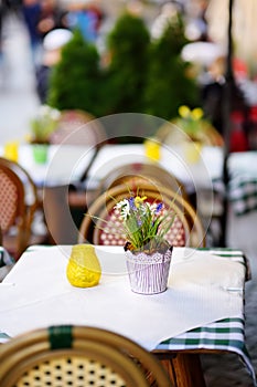 Outdoor cafe on sunny spring day with natural flowers in pot