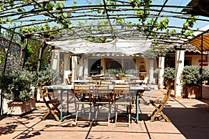 Outdoor cafÃ© on a nice day with a trellis