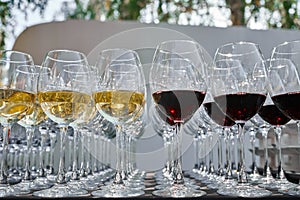 Outdoor catering banquet in summer. ÃÂ¡atering services. Rows of glasses with wine at restaurant party or celebration.