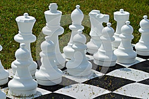 Outdoor chess game photo