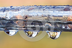 Outdoor Christmas decoration with droplets