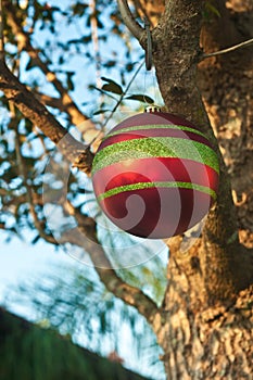 Outdoor christmas decoration, hanging from a tree