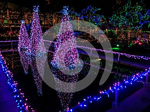 Outdoor Christmas Lights