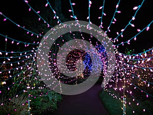 Outdoor Christmas Lights