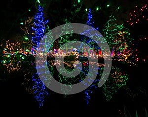 Outdoor Christmas Lights