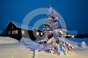 Outdoor Christmas tree in snowy evening village in northern Europe, decorated with electric garlands.
