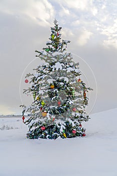 Outdoor Christmas tree on snowy ground against sky