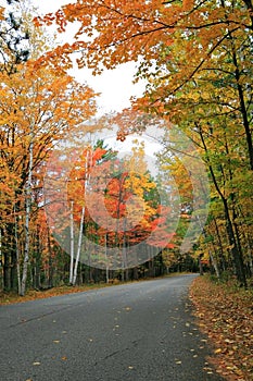 Outdoor Colorful Autumn Scenic Road