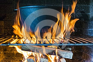 Outdoor cooking in a bowl of stainless steel over a burning fire close up. Concept of summer grilling, barbecue, bbq