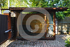 Outdoor dog kennel enclosure on front yard