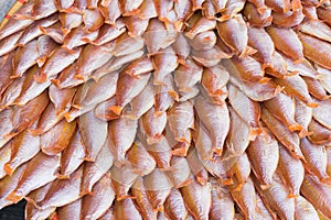 Outdoor dried fish for food in Vietnam