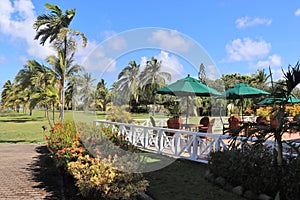 Outdoor eating area at a restaurant in a tropical location