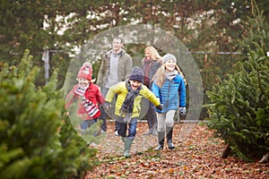 Outdoor Family Choosing Christmas Tree Together