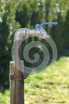 An outdoor faucet in the garden