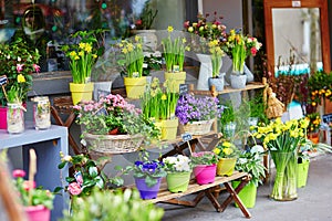 Outdoor flower market on a Parisian street