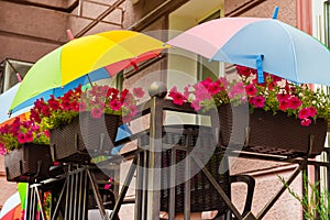 Outdoor flowers in baskets are hidden under umbrellas from the scorching summer sun. Flowers are escaping the heat