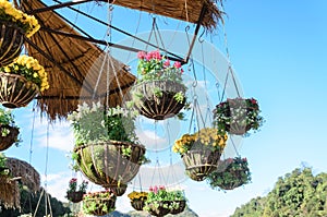 Outdoor garden designs with hanging flower pot with blue sky