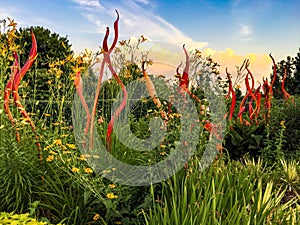 Chihuly Garden Exhibit, Atlanta photo