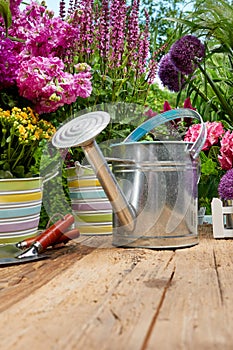 Outdoor gardening tools on old wood table