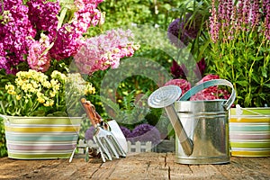 Outdoor gardening tools on old wood table