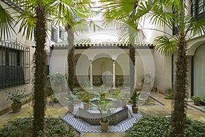 Outdoor gardens of The Sorolla Museum in Madrid, Spain photo