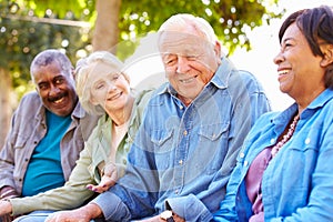 Outdoor Group Portrait Of Senior Friends