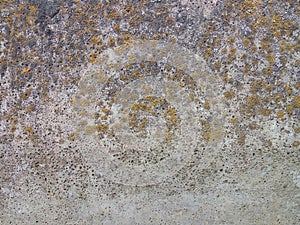 Outdoor grunge polished concrete texture