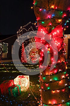 Outdoor Holiday decoration