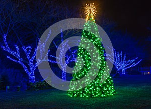 Outdoor Illuminated Christmas Tree photo
