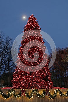 Outdoor illuminated Christmas tree in public area of town