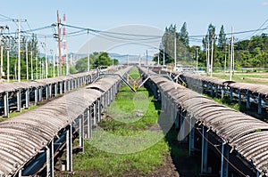 Outdoor incline large conveyor with rubber belt conveyor for transportation line for processing the coal in the coal mine.