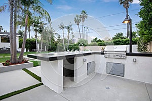 Outdoor kitchen with palm trees backdrop in a modern new construction home in Los Angeles