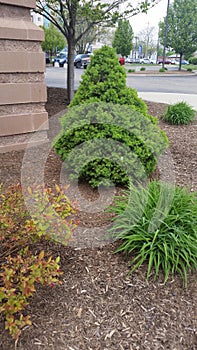 Outdoor Landscaping for Businesses