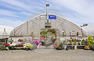 Outdoor nursery Willamette valley Oregon.