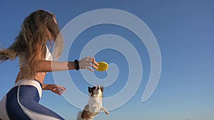 outdoor obedience leisure training activity of sport beautiful young woman throwing yellow frisbee disc to jumping small