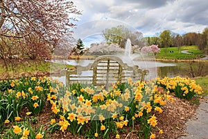 Outdoor Park Bench Spring Garden Virginia