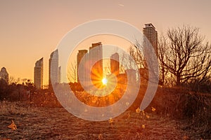 Outdoor park in Toronto