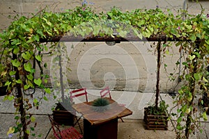 Outdoor Patio Seating Under Trellis