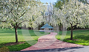 Outdoor Pavilion Virginia Regional Park