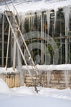 Outdoor photo of greenhouse in snowy winter botanical garden, icicles hanging from glasshouse roof