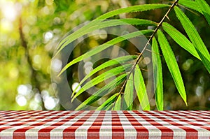 Outdoor picnic background. photo