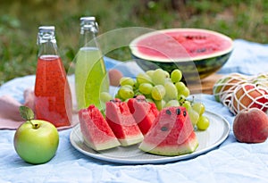 Outdoor picnic with healthy summer fruits on a blanket.