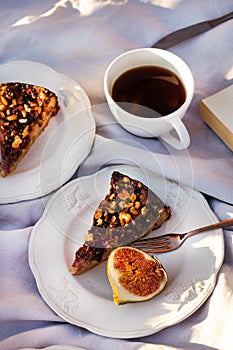 Outdoor picnic with the pieces of cake and figs