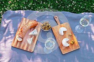 Outdoor picnic setting with camembert cheese, blue mold cheese and white wine. Top view