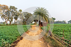 Outdoor picture of a fascinating, quiet, and beautiful village in West Bengal