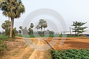 Outdoor picture of a fascinating, quiet, and beautiful village in West Bengal