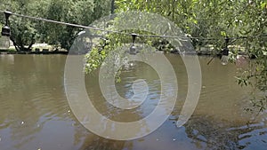 Outdoor place by pond surrounded trees, tracking of bulbs hanging over water