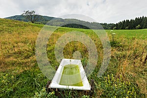 Outdoor places to walk within the town of Unterach near Lake Egelsee in Austria photo