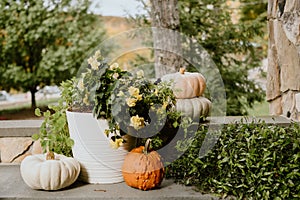 Outdoor planter with a plant and pumpkins on display